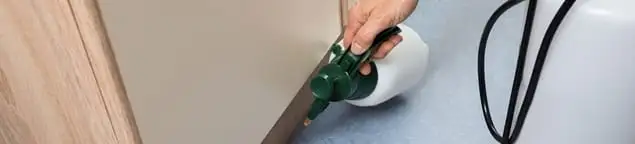 Bed bug exterminator treating baseboards and cracks with targeted spray in Evansville, IN