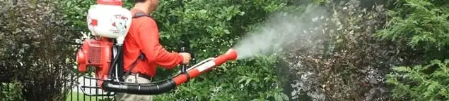 Mosquito control technician fogging shrubs and landscaping for mosquito treatment in Evansville, IN