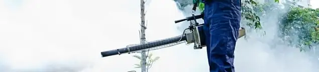 Pest control technician fogging an outdoor area for insect control in Evansville, IN