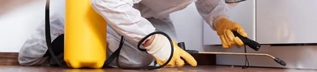 Roach exterminator treating cracks and crevices along kitchen baseboards in Evansville, IN