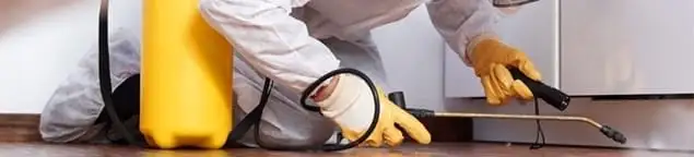 Roach exterminator treating cracks and crevices along kitchen baseboards in Evansville, IN
